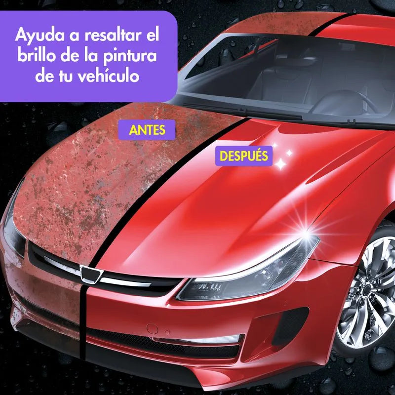 SHINE ARMOR Fortify Quick Coat - Revestimiento de cerámica de alto rendimiento, aerosol de cera para automóvil, esmalte de capa superior hidrofóbica y sellador de pintura de polímero para asiento de cuero